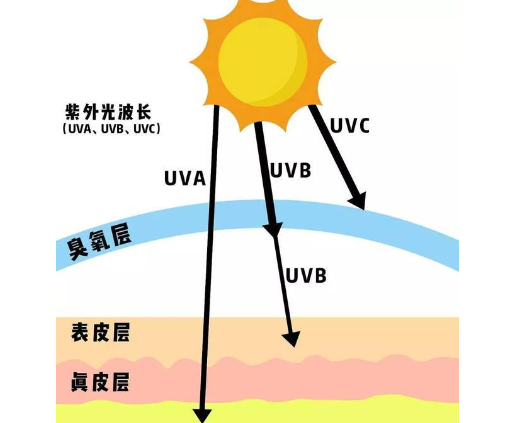紫外�U�分�c?png