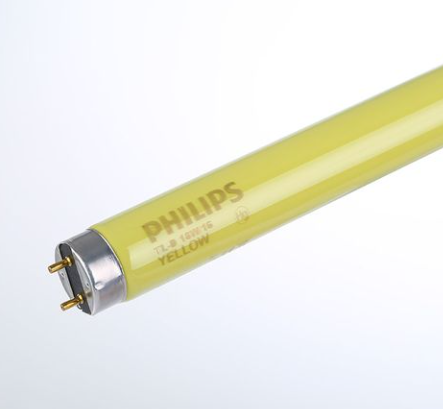 鐜葷拑榛勫厜鐏椋炲埄嫻?png